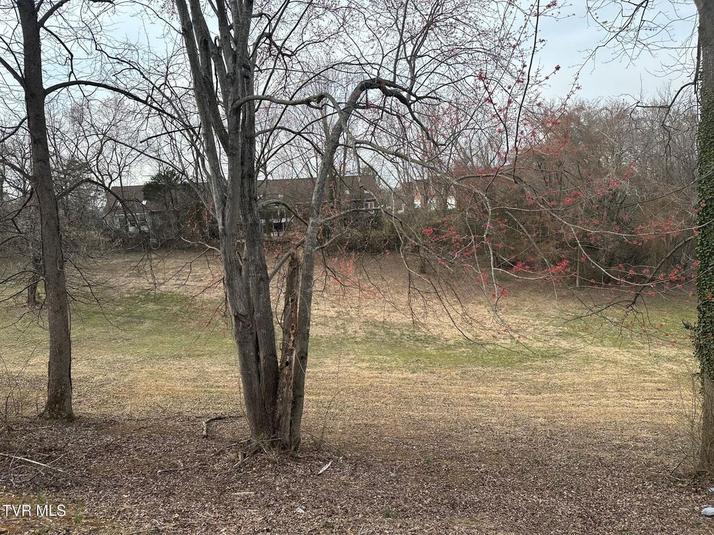 Photo of Tbd Ford Avenue, Kingsport, TN 37663 (MLS # 9977282)