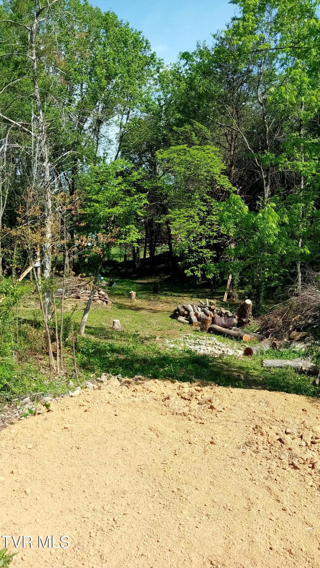 Photo of 655 Sioux Trail, Greeneville, TN 37743 (MLS # 9994109)