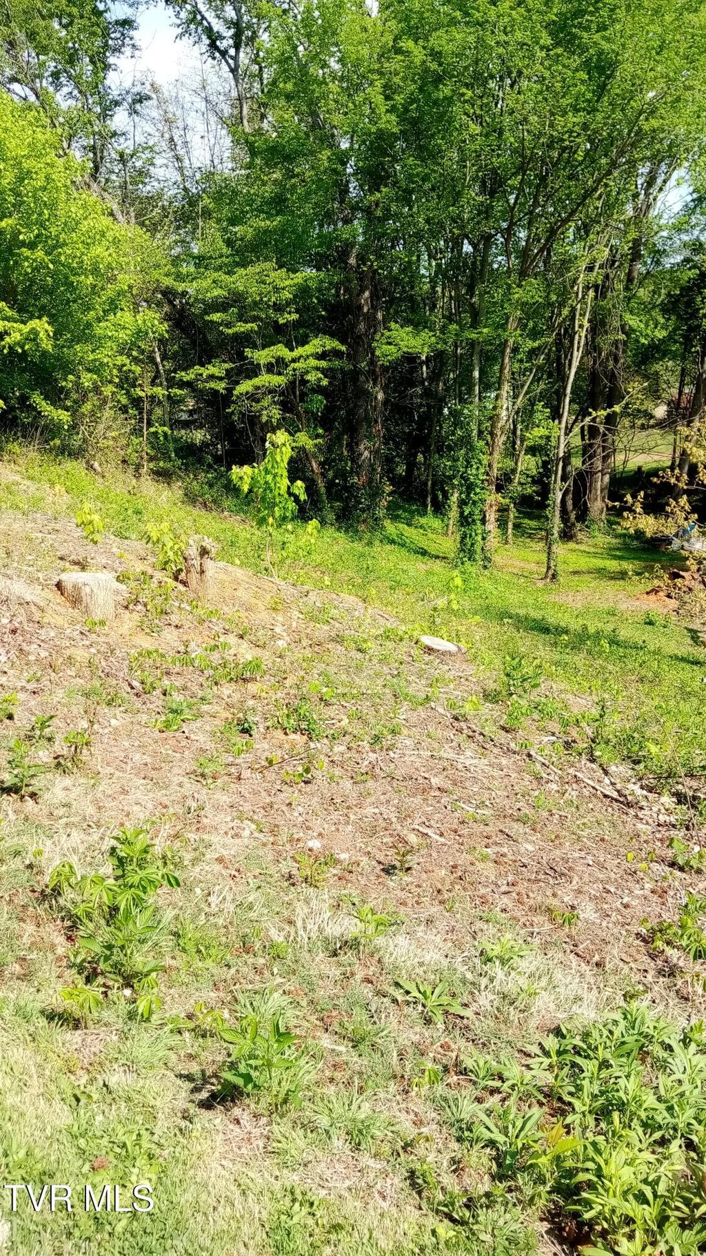 Photo of 655 Sioux Trail, Greeneville, TN 37743 (MLS # 9994109)