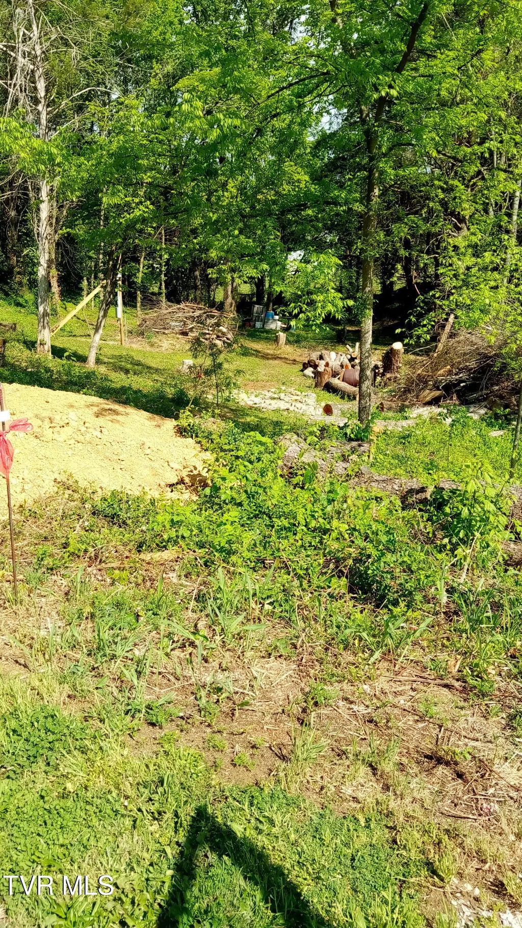 Photo of 655 Sioux Trail, Greeneville, TN 37743 (MLS # 9994109)