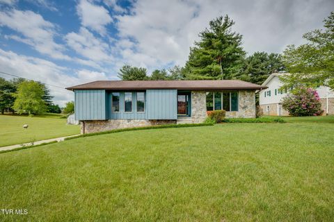 209 Harmony Acres Drive E Jonesborough TN 37659
