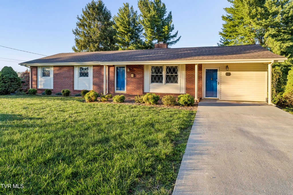 Photo of 201 Brown Avenue, Johnson City, TN 37601 (MLS # 10001502)