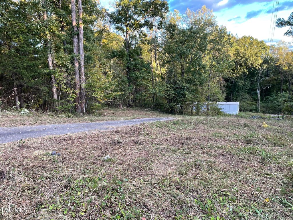 Photo of 453 Statem Gap Road, Morristown, TN 37813 (MLS # 9981094)