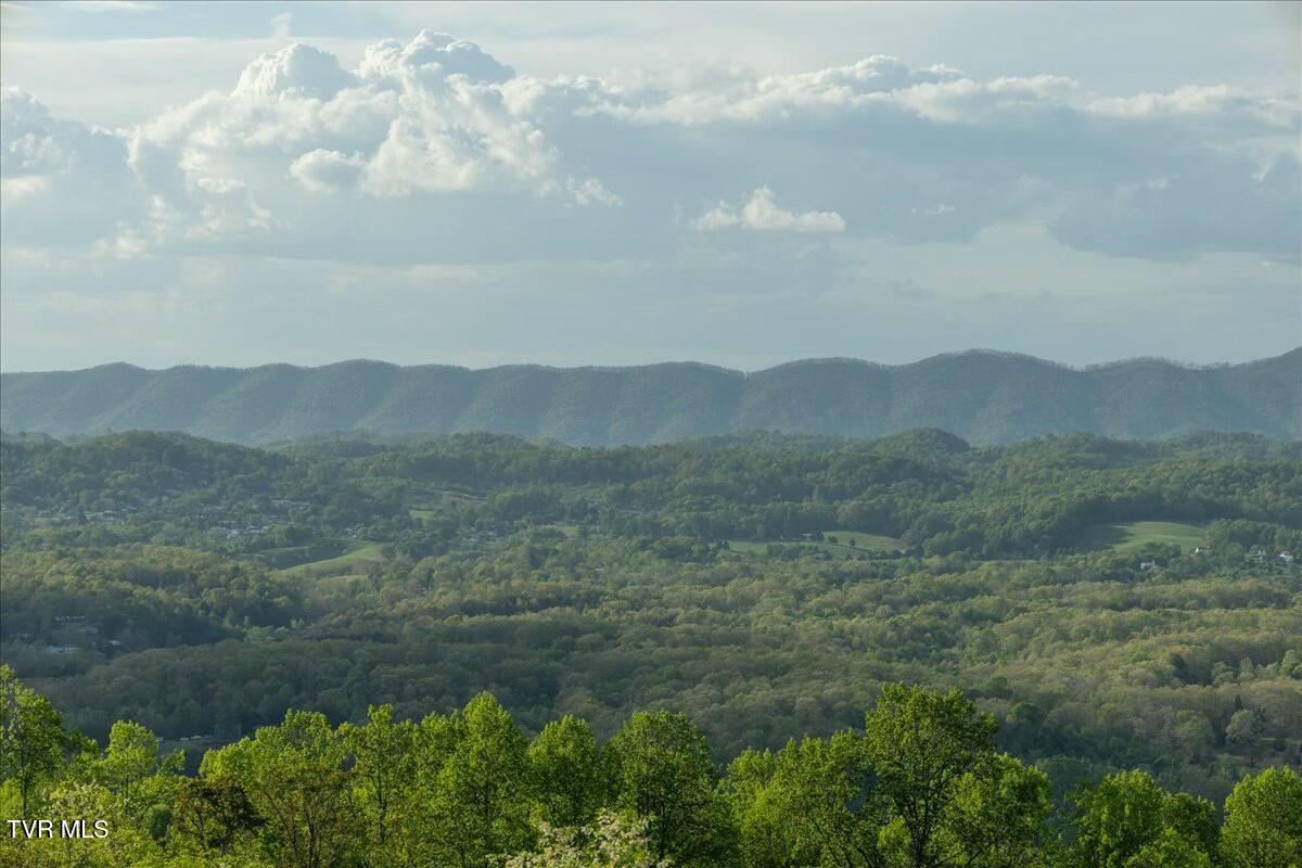 4929 Eagle Pointe Drive, Kingsport, Tennessee image 3