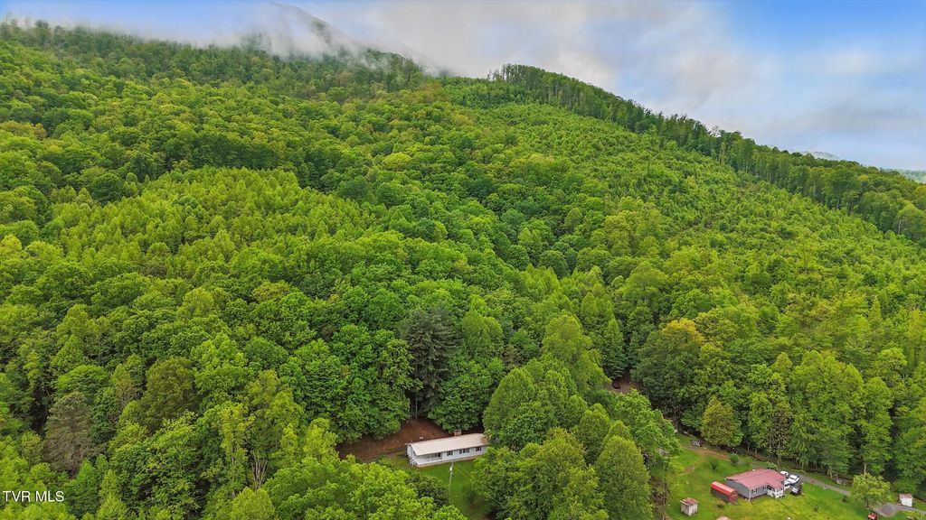 Photo of 430 Arrowhead Drive, Duffield, VA 24244 (MLS # 9991010)