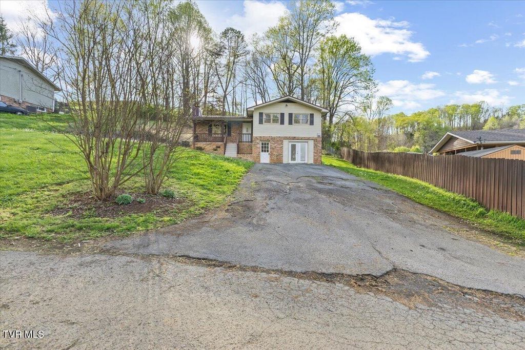 Photo of 161 Massey Street, Elizabethton, TN 37643 (MLS # 9993880)