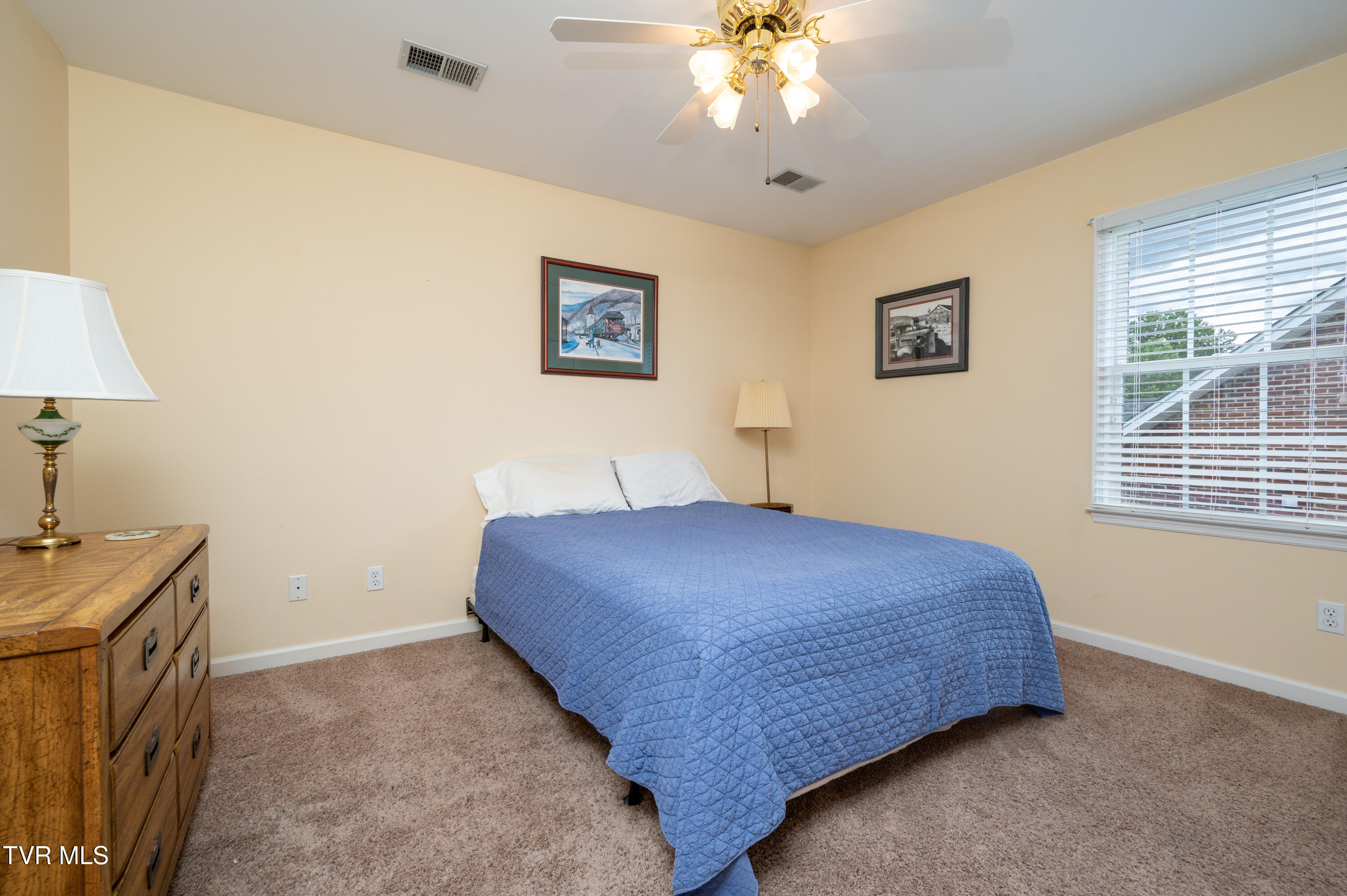 4205 Nickleby Court, Kingsport, Tennessee image 41