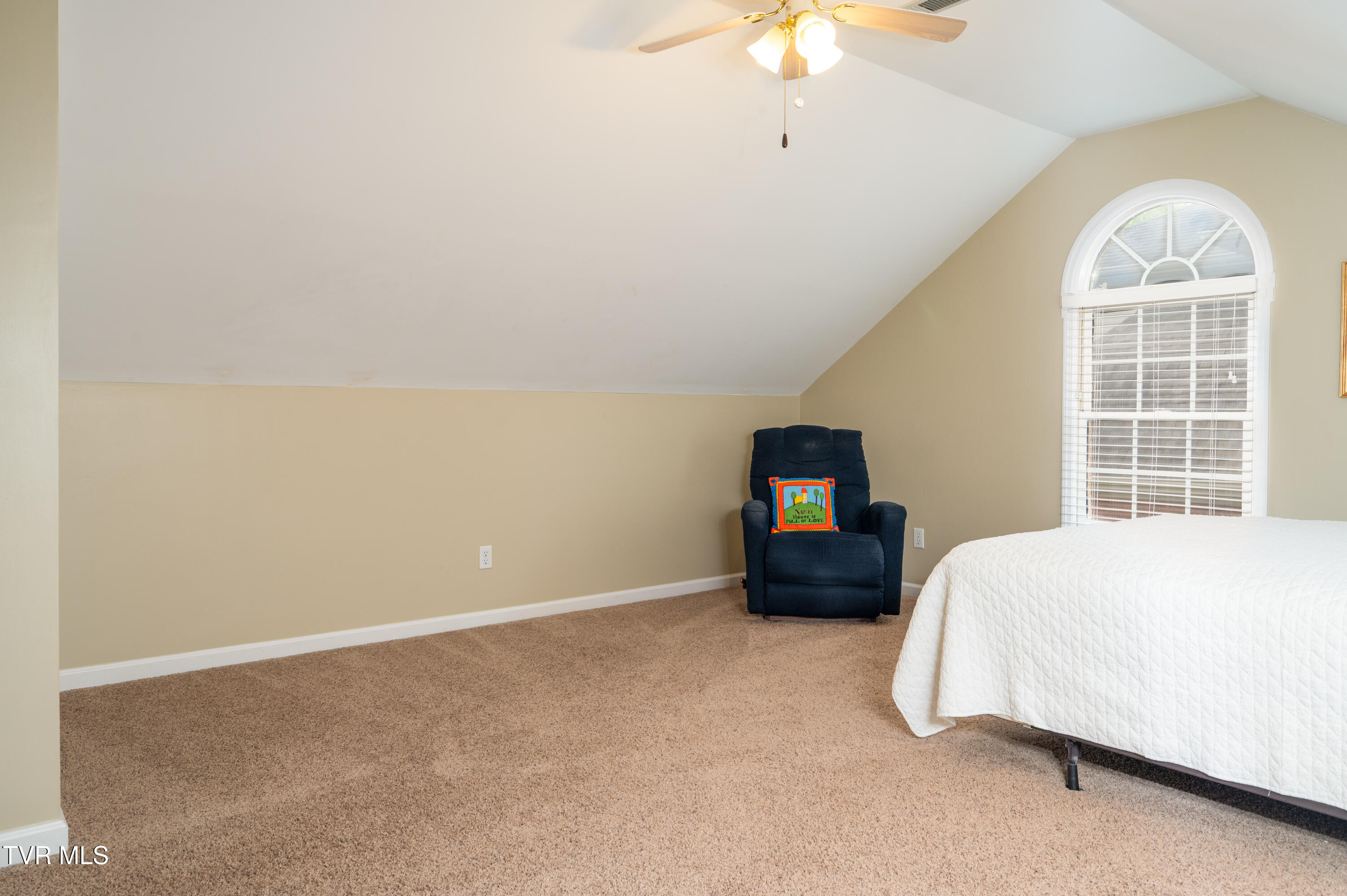 4205 Nickleby Court, Kingsport, Tennessee image 47