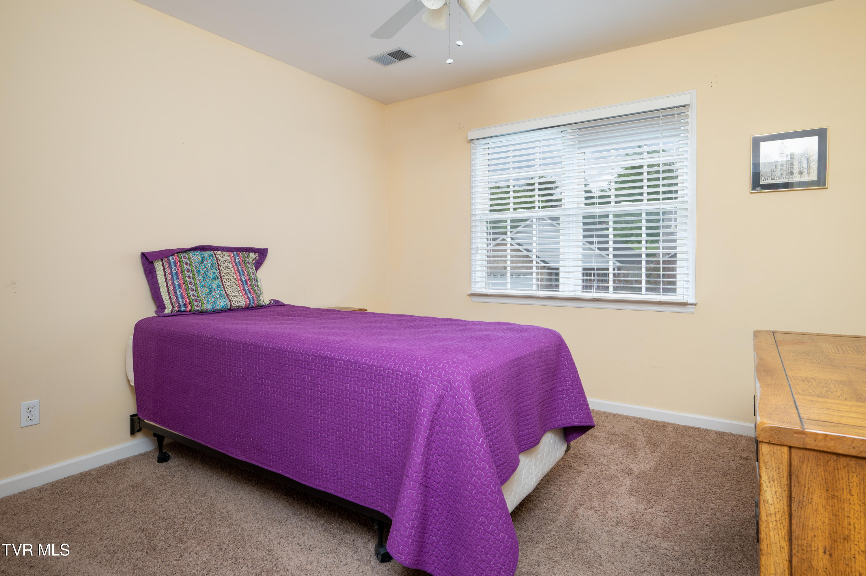 4205 Nickleby Court, Kingsport, Tennessee image 37