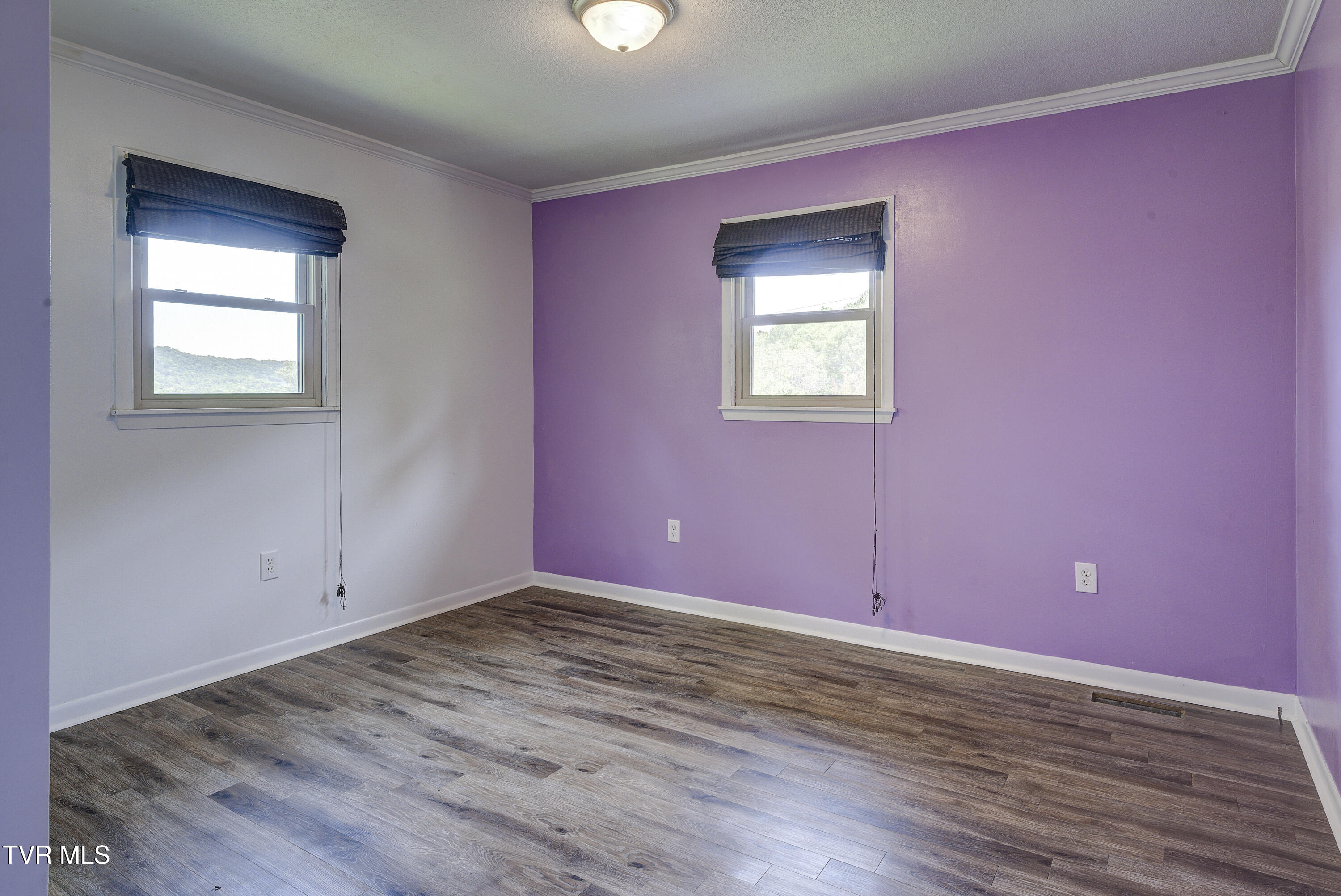 266 Pine Laurel Circle, Bluff City, Tennessee image 18