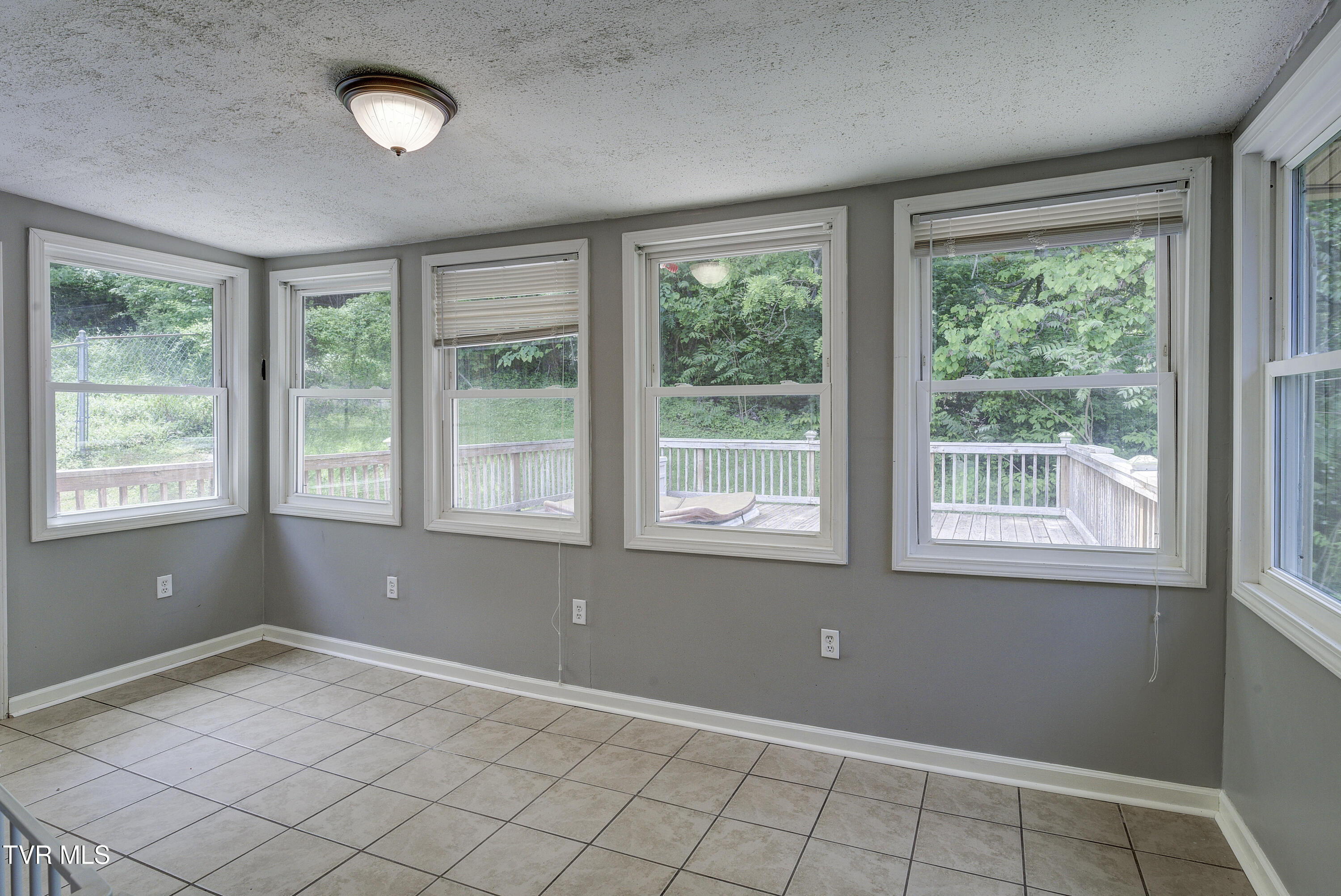 266 Pine Laurel Circle, Bluff City, Tennessee image 11