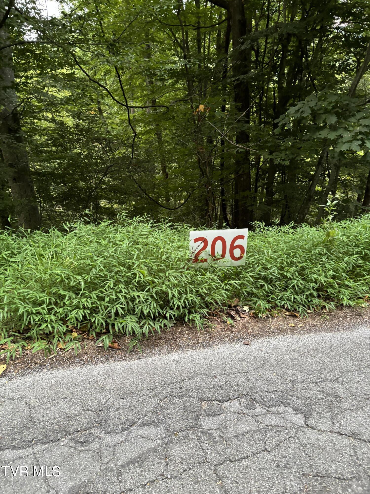 206 Ox Bow Ave, Unicoi, Tennessee image 1