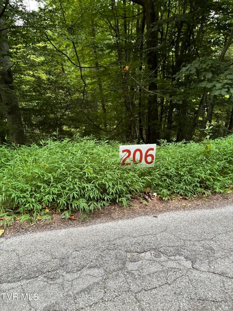 Vacant Land For Sale - 206 Ox Bow Ave<br/> Unicoi County, Unicoi, TN 37692