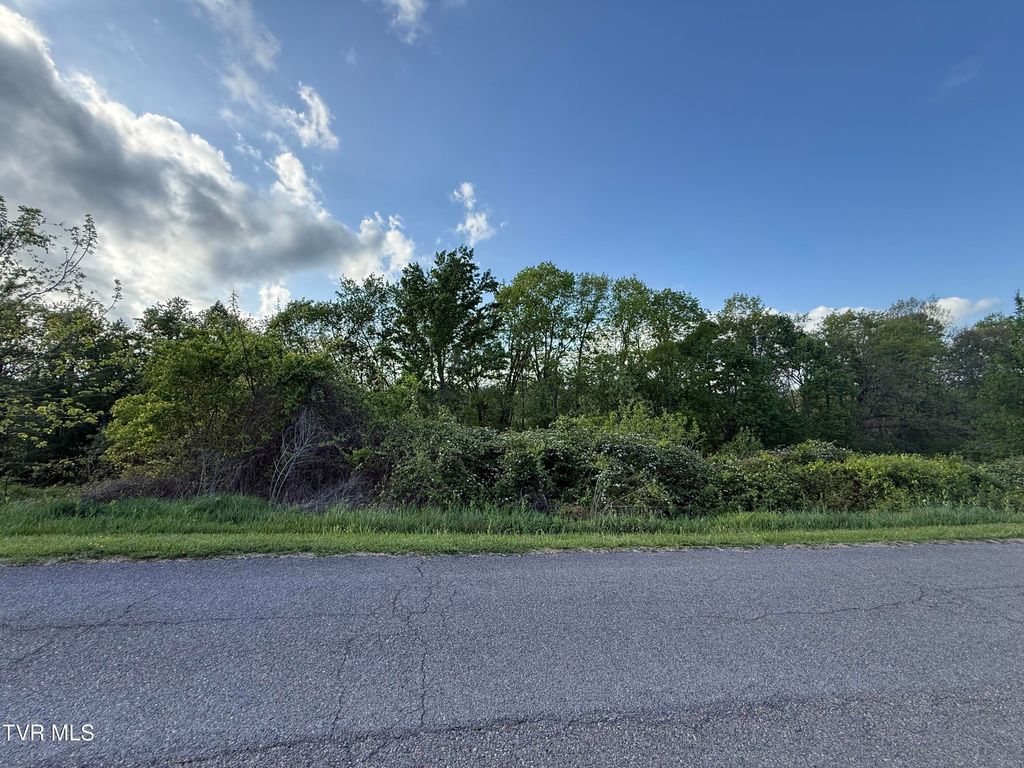 Photo of 000 Gibson Road, Nickelsville, VA 24271 (MLS # 9994620)