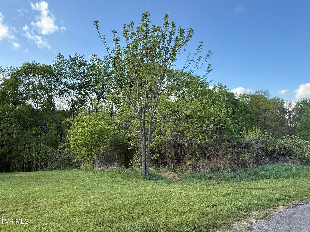 Photo of 000 Gibson Road, Nickelsville, VA 24271 (MLS # 9994620)