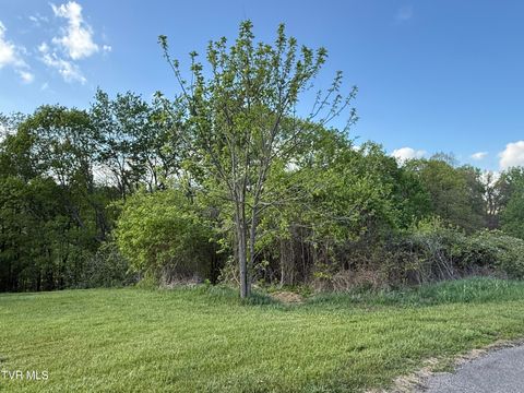 Vacant Land For Sale - 000 Gibson Road<br/> Scott County, Nickelsville, VA 24271
