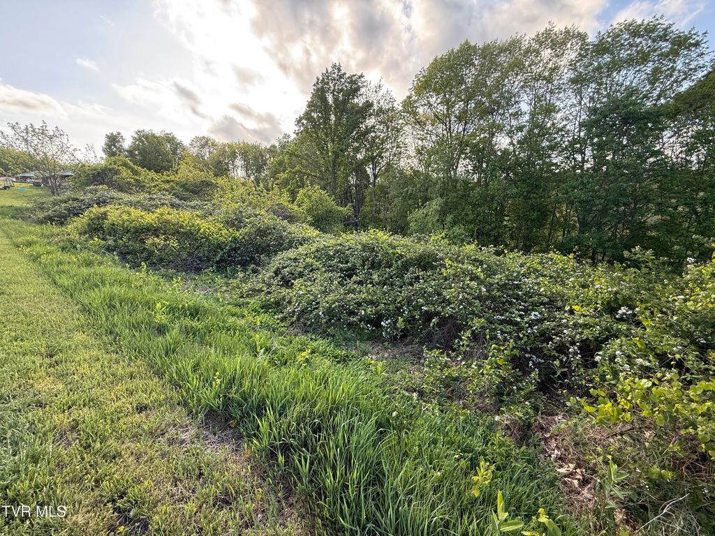 Photo of 000 Gibson Road, Nickelsville, VA 24271 (MLS # 9994620)
