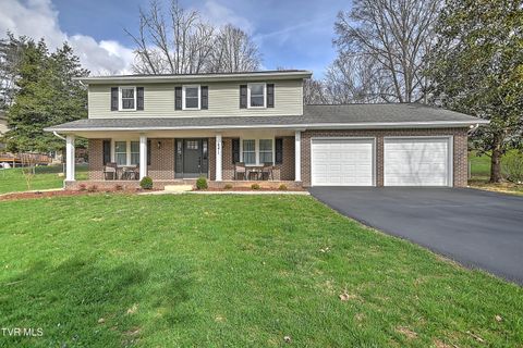 Photo of 6371 Old Jonesboro Road, Bristol, TN 37620 (MLS # 9993314)