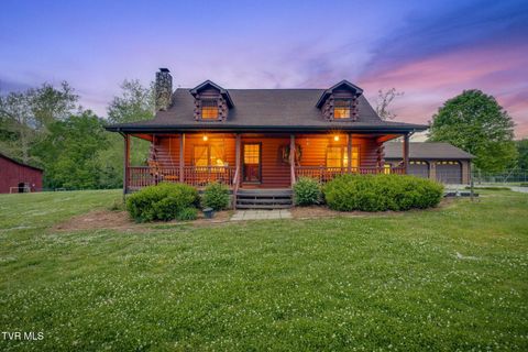 Photo of 147 Britton Lane, Limestone, TN 37681 (MLS # 9994681)