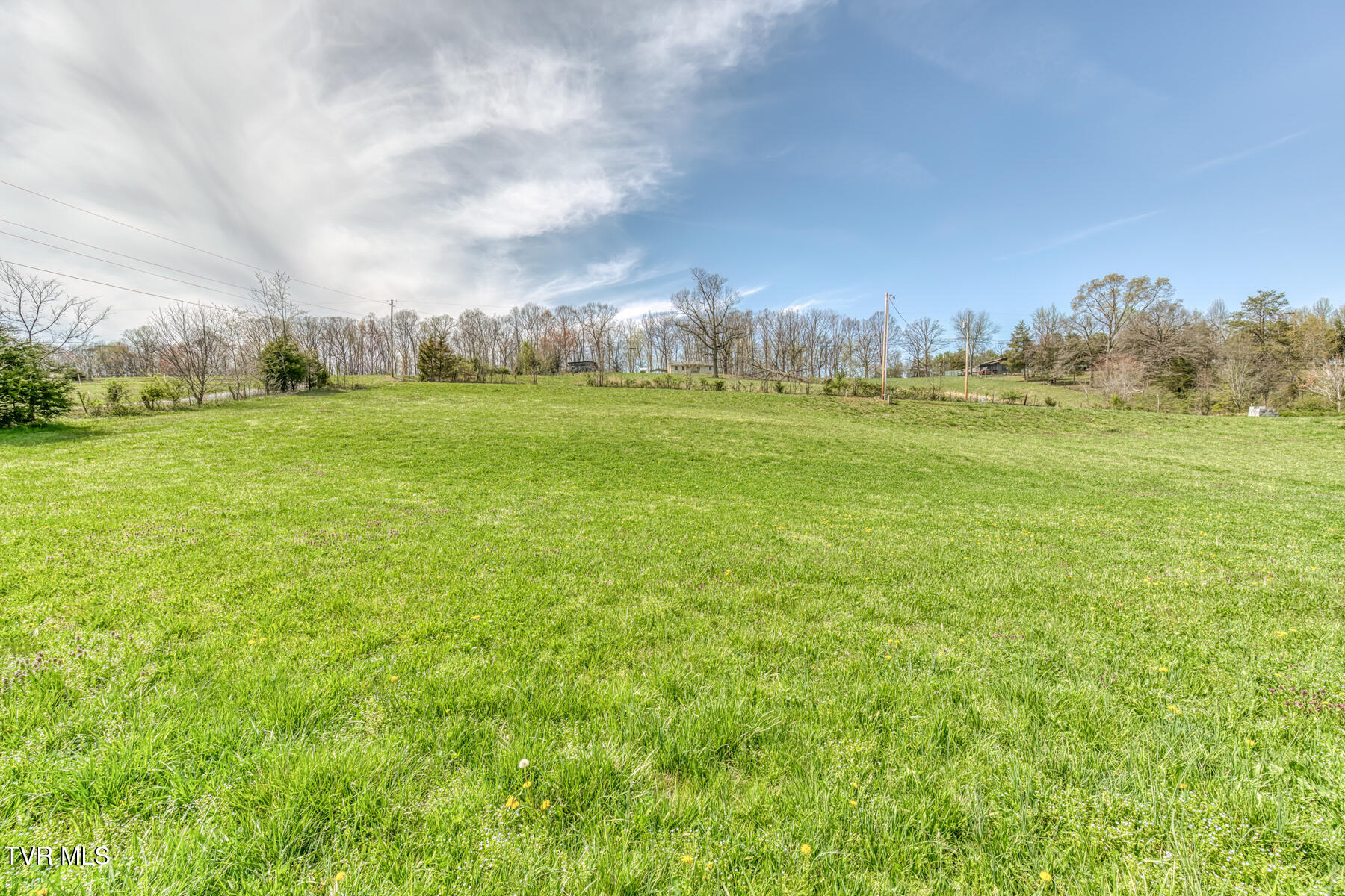 138 Baskett Road, Limestone, Tennessee image 14
