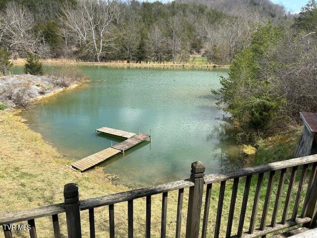 Photo of 742 Black Sheep Hollow Road, Sneedville, TN 37869 (MLS # 9994612)