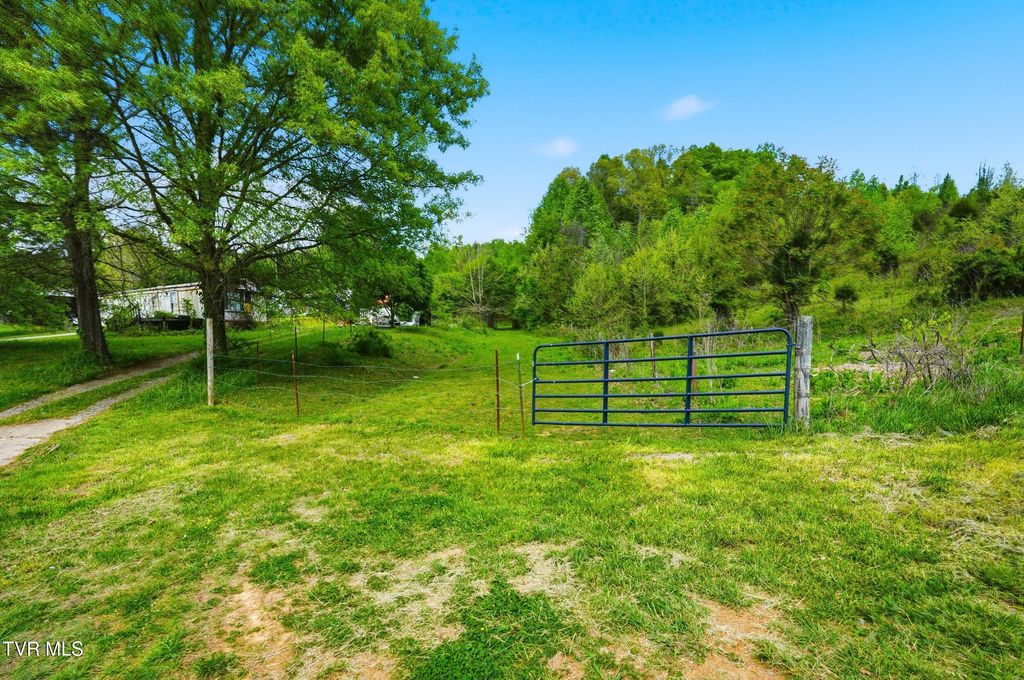 Photo of 2376 Middle Creek Road, Afton, TN 37616 (MLS # 9994477)