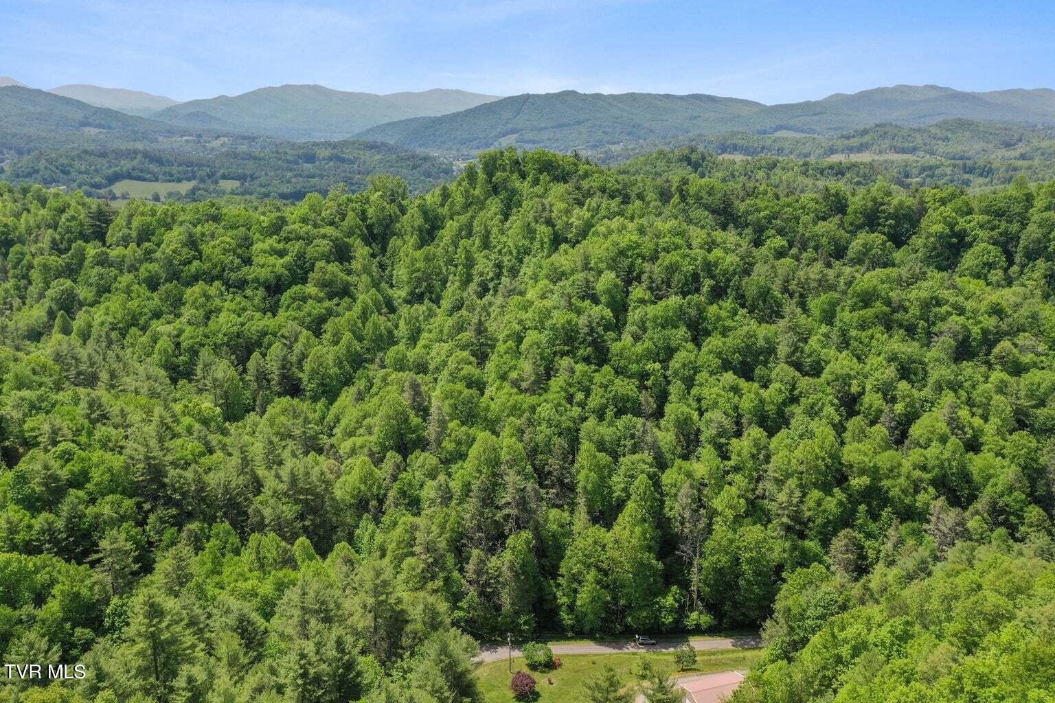 Tbd Tobacco Road, Mountain City, Tennessee image 3