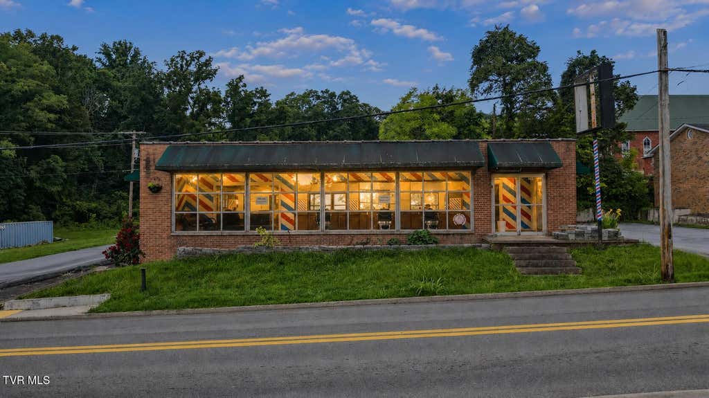 Photo of 204 Mckee Street, Greeneville, TN 37743 (MLS # 9998446)
