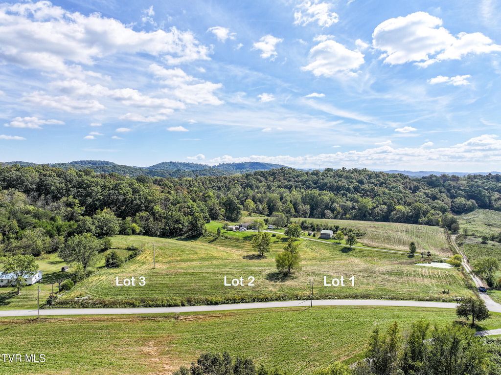 Photo of Tbd Charlie Doty Lot 3 Road, Greeneville, TN 37745 (MLS # 9986740)