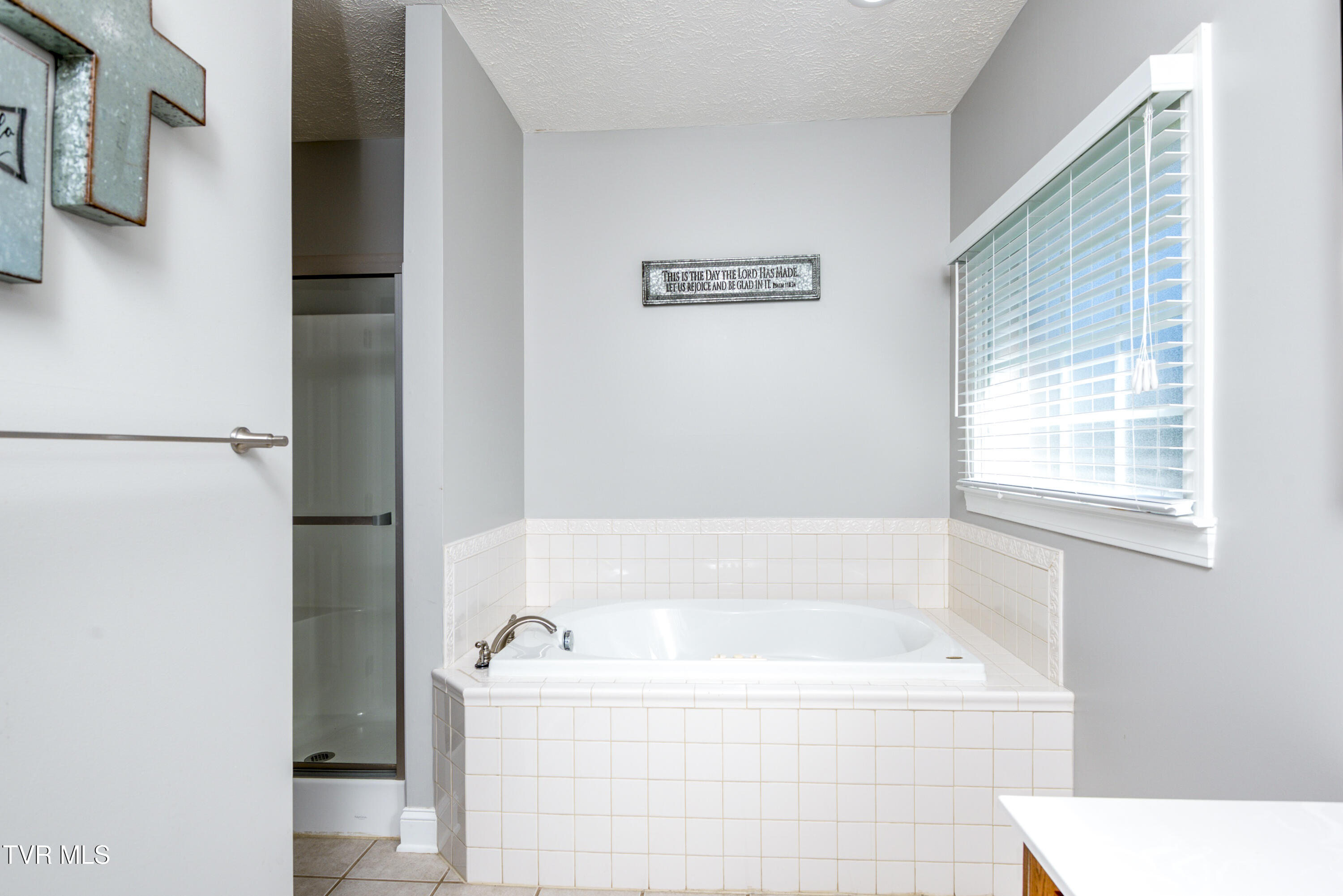 20286 Millbrook Drive, Abingdon, Virginia image 46