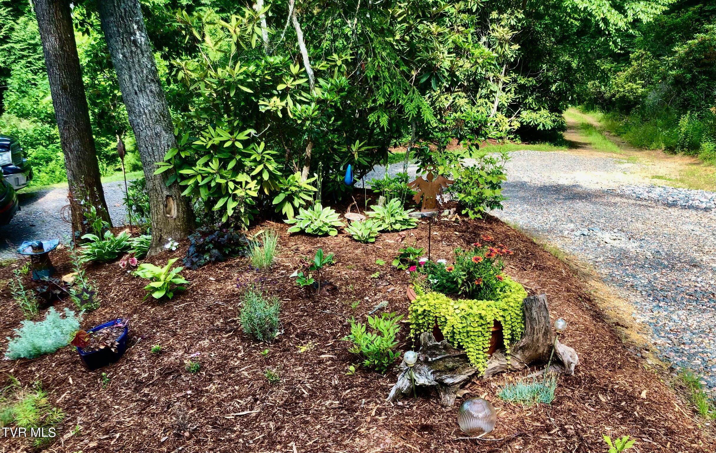 162 Blackberry Hill Lane, Mountain City, Tennessee image 36
