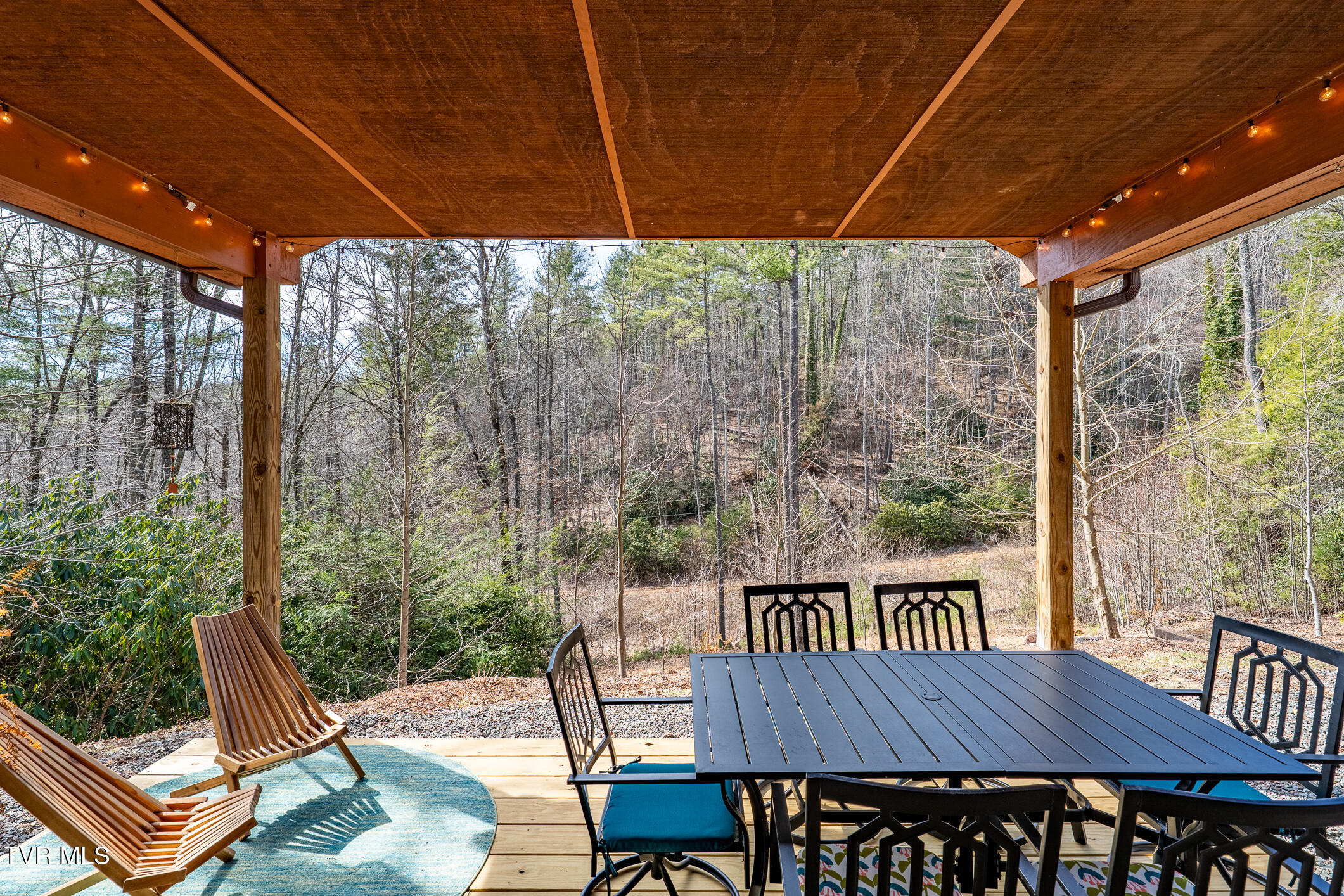 162 Blackberry Hill Lane, Mountain City, Tennessee image 8