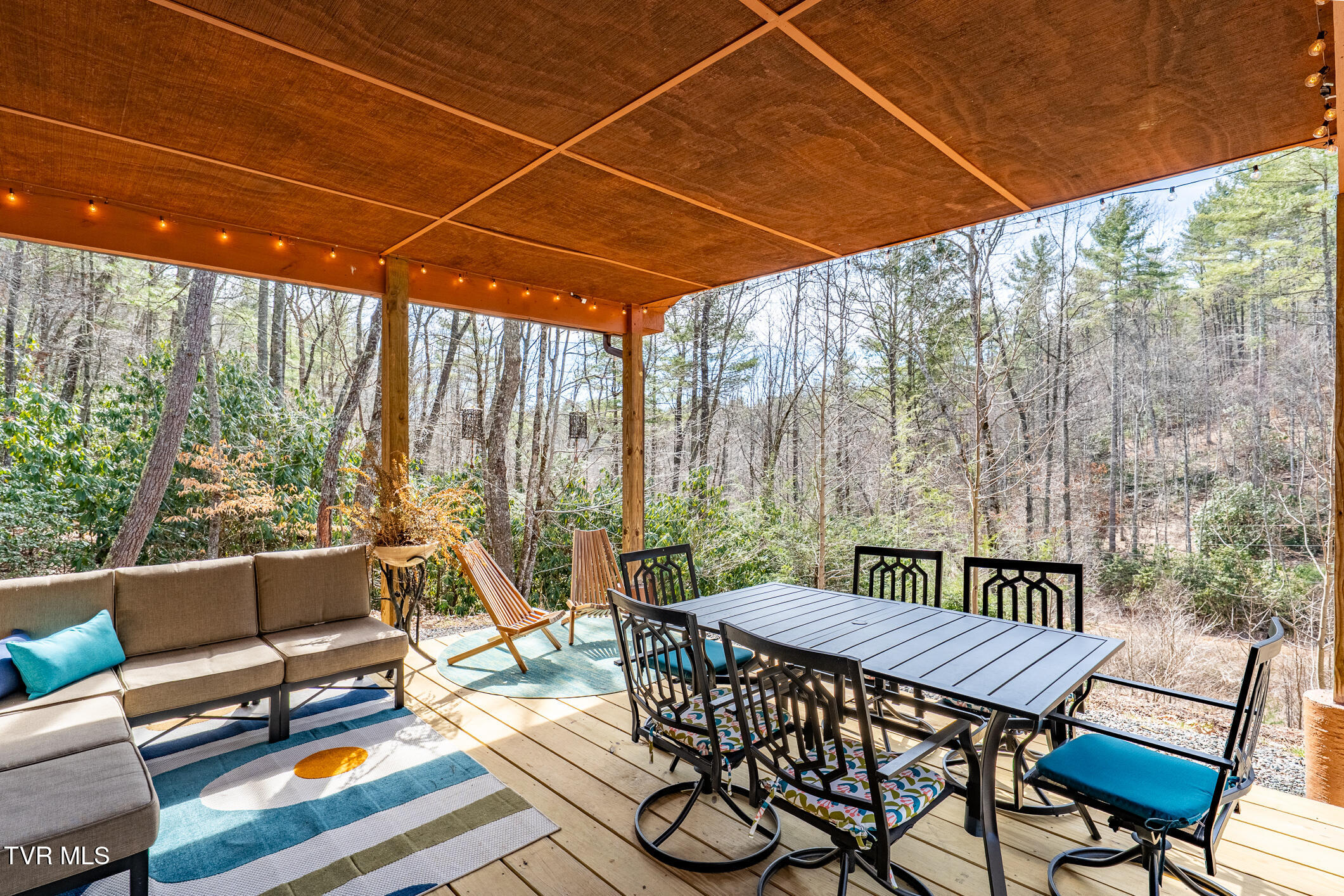 162 Blackberry Hill Lane, Mountain City, Tennessee image 7