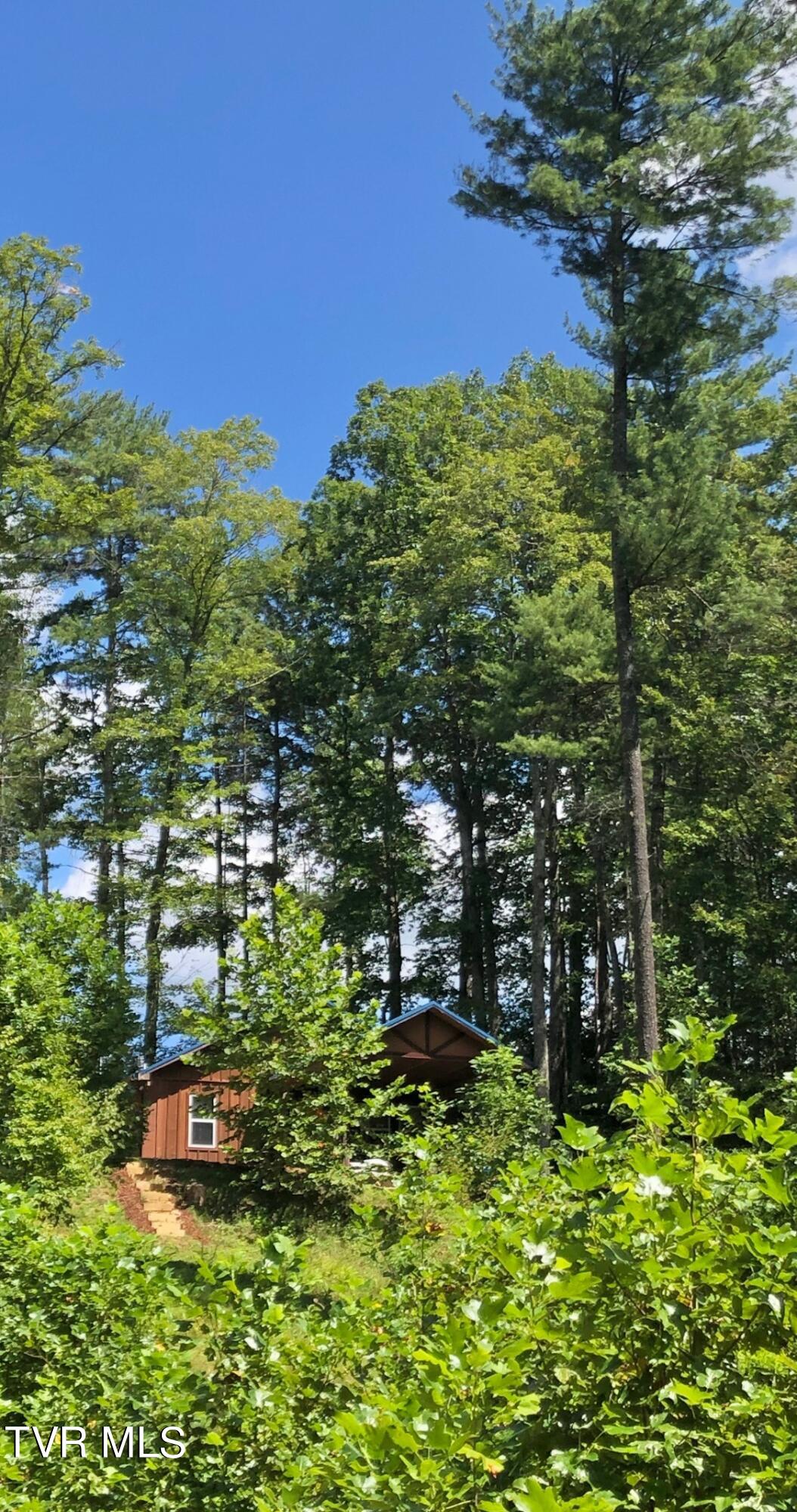 162 Blackberry Hill Lane, Mountain City, Tennessee image 45