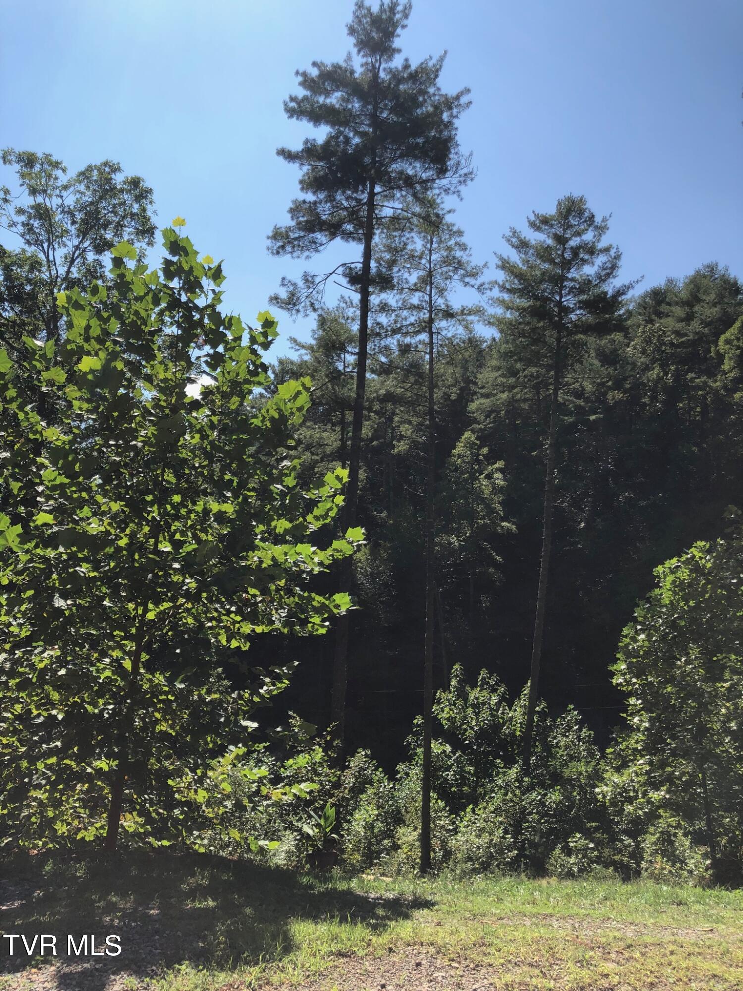 162 Blackberry Hill Lane, Mountain City, Tennessee image 44