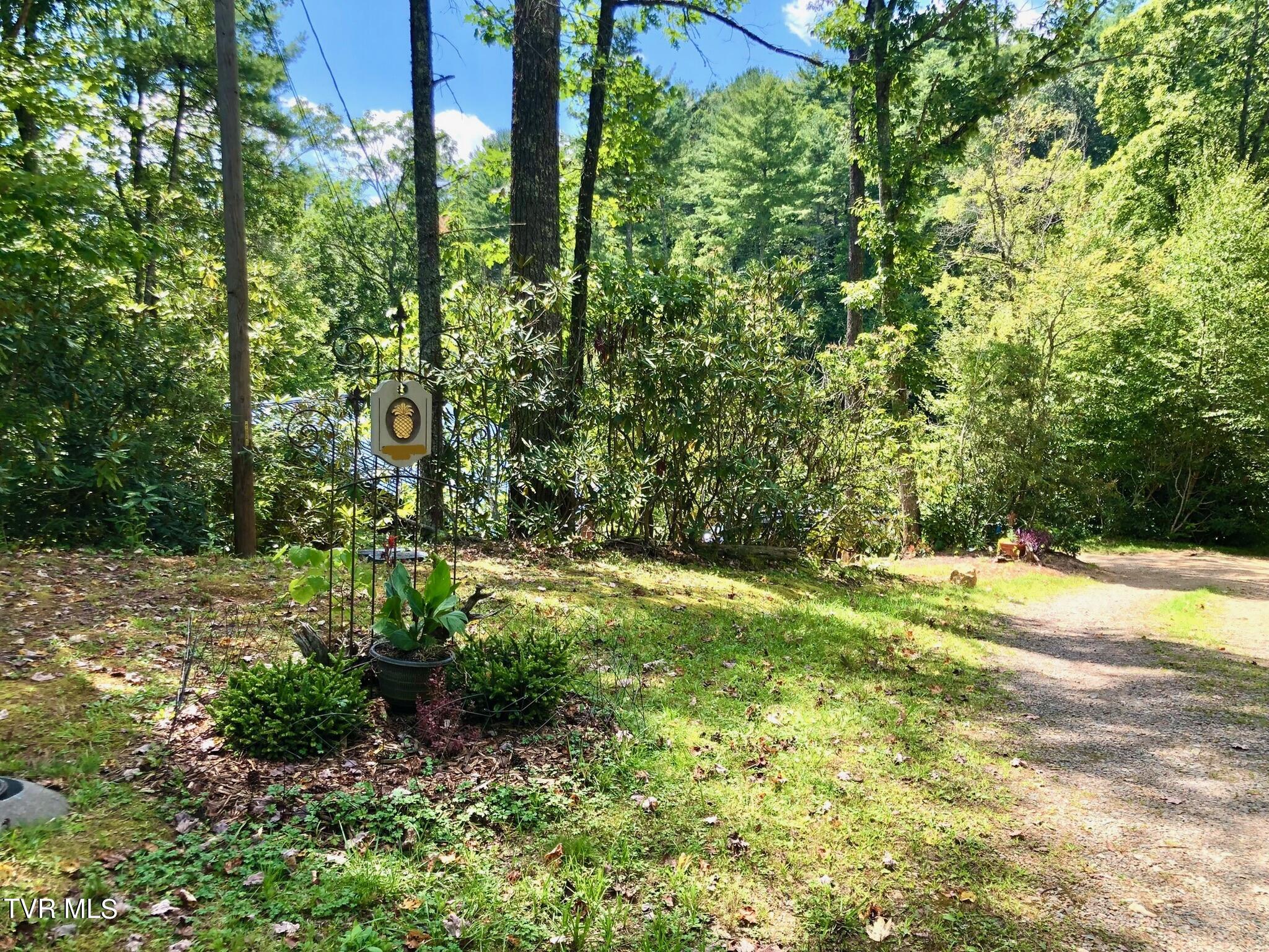 162 Blackberry Hill Lane, Mountain City, Tennessee image 48