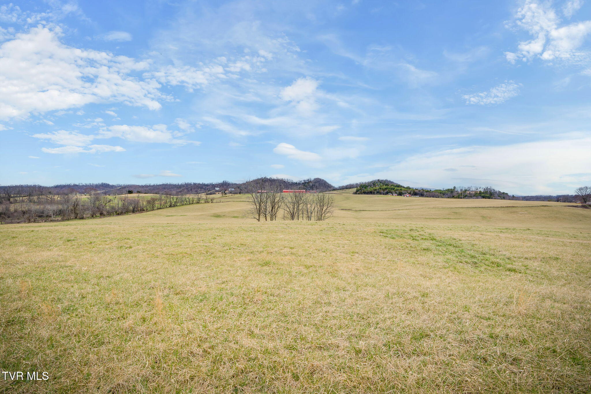 Tbd Ducktown Road, Limestone, Tennessee image 5
