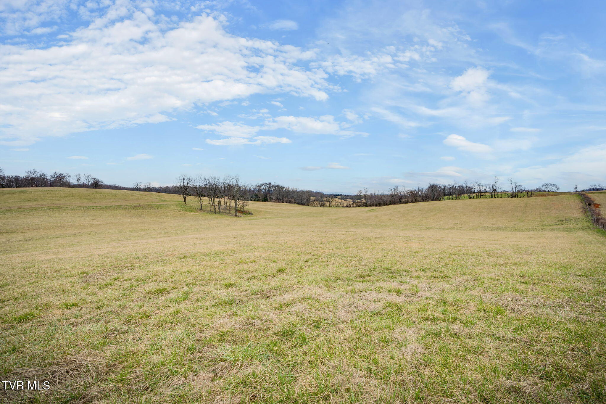 Tbd Ducktown Road, Limestone, Tennessee image 3
