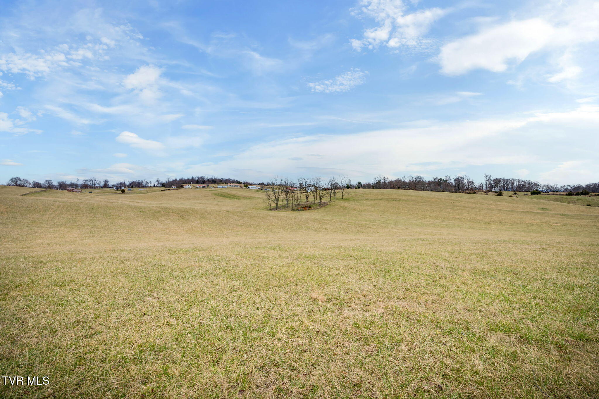 Tbd Ducktown Road, Limestone, Tennessee image 4