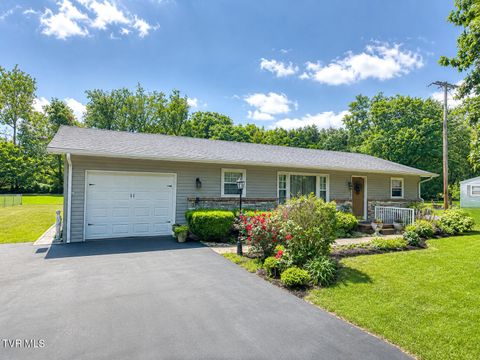 Photo of 135 Cedar Valley Road, Bristol, TN 37620 (MLS # 9995625)