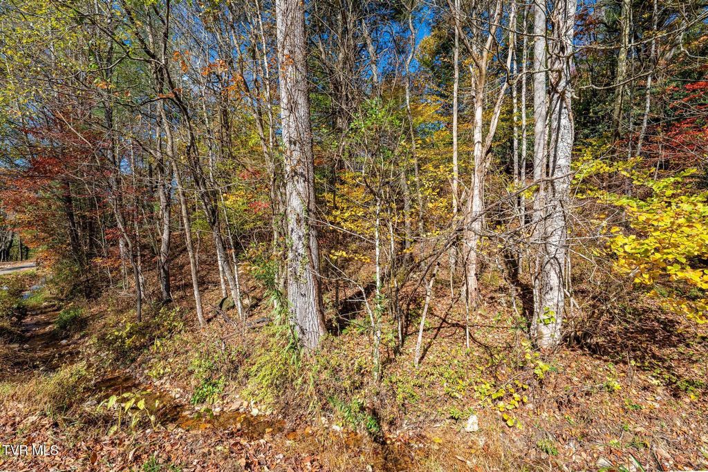 Photo of Tbd Lumpkin Branch Road, Mountain City, TN 37683 (MLS # 9987134)