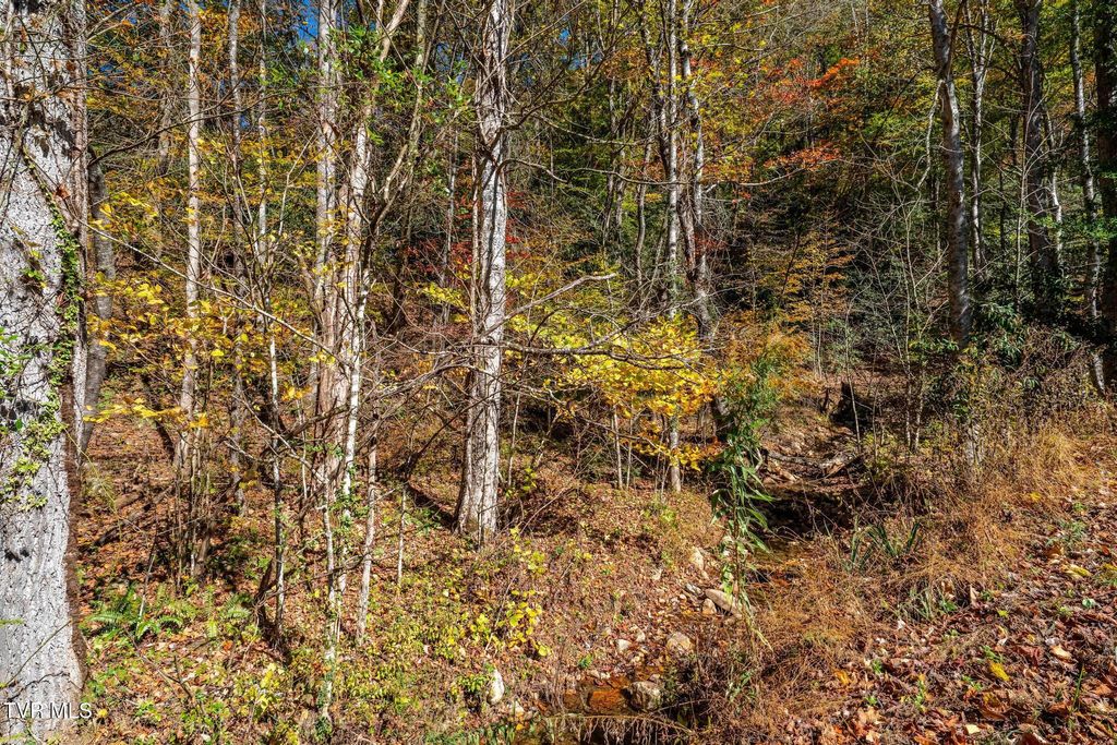 Photo of Tbd Lumpkin Branch Road, Mountain City, TN 37683 (MLS # 9987134)