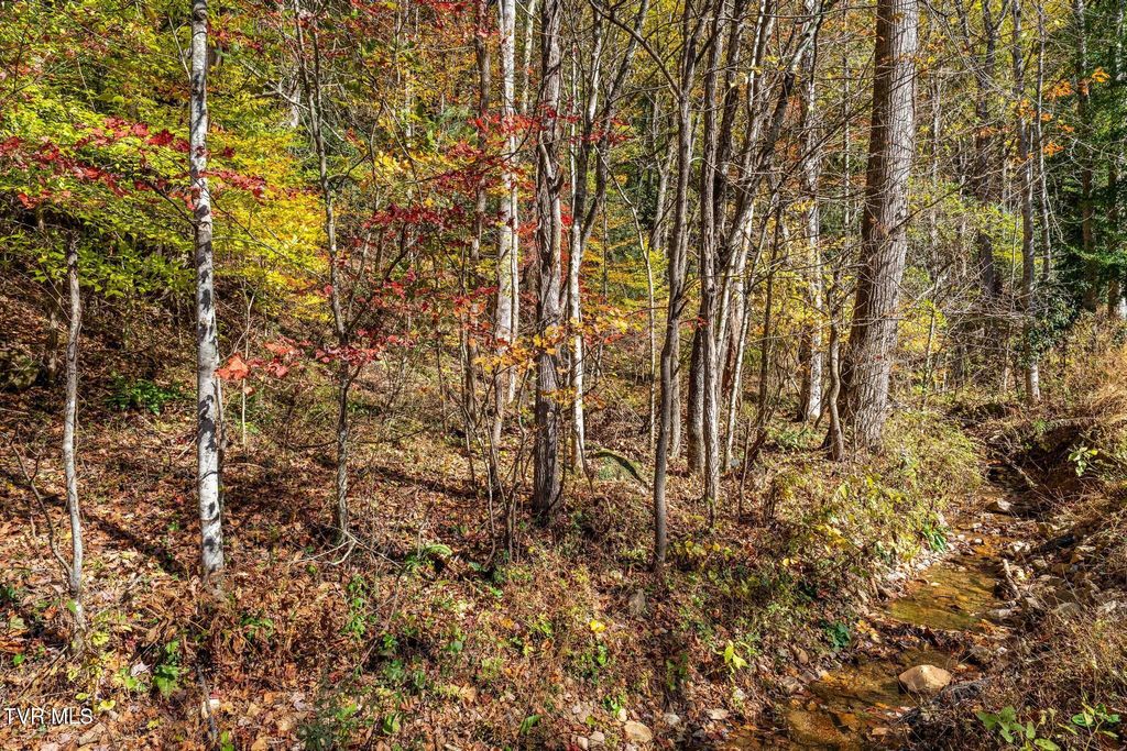 Photo of Tbd Lumpkin Branch Road, Mountain City, TN 37683 (MLS # 9987134)