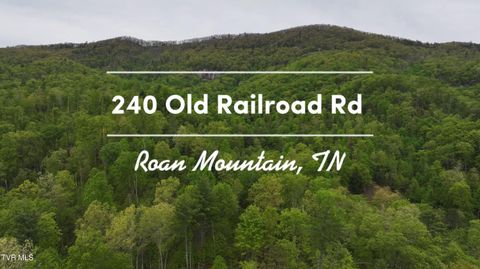 240 Old Railroad Grade Rd Roan Mountain TN 37687