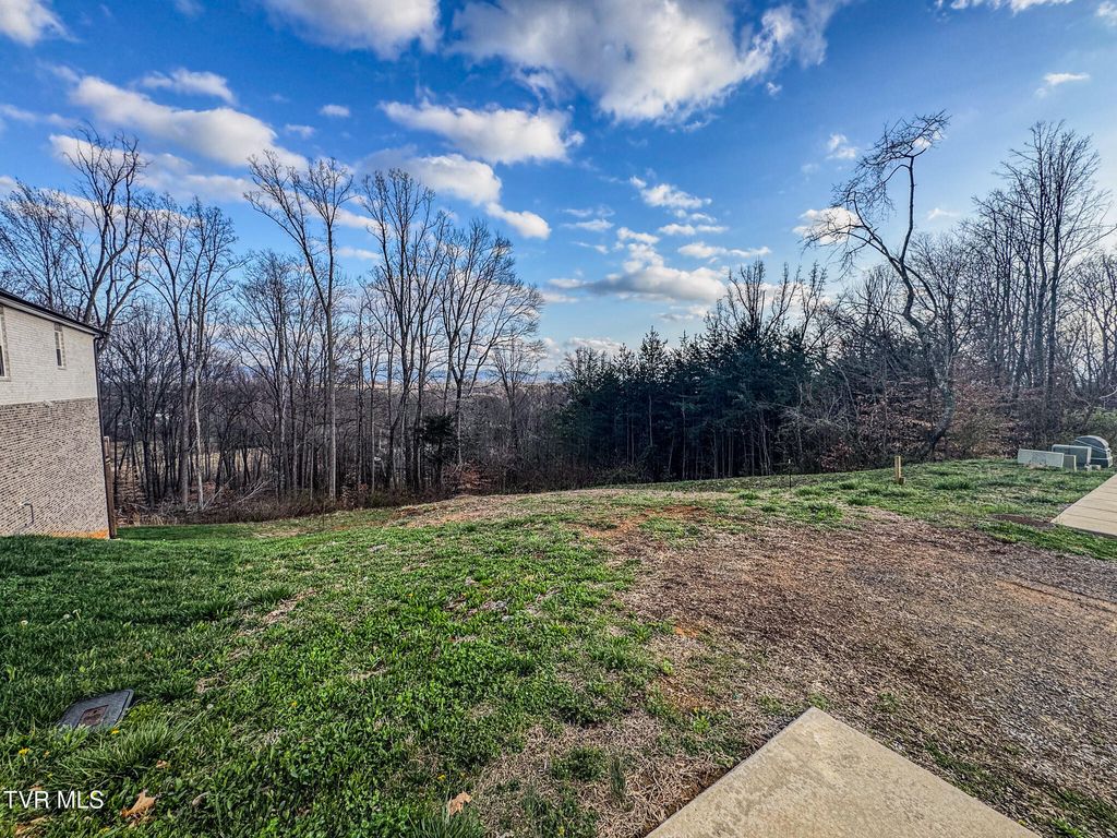 Photo of 49 English Ivy Trail, Jonesborough, TN 37659 (MLS # 9991959)