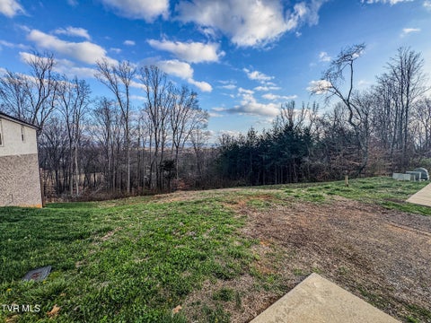 Vacant Land For Sale - LOT 49 English Ivy Trail<br/> Jonesborough, TN 37659