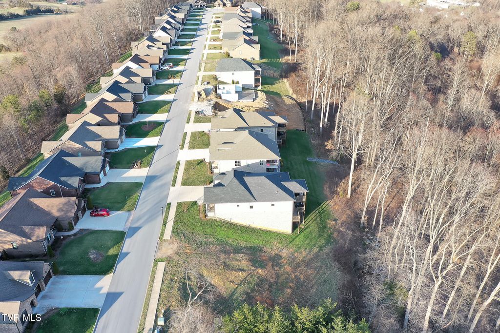 Photo of 49 English Ivy Trail, Jonesborough, TN 37659 (MLS # 9991959)