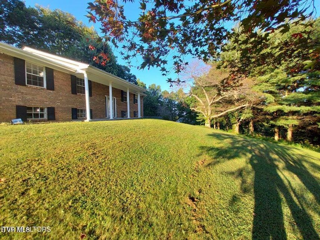 Photo of 379 Luther Villa Road, Sneedville, TN 37869 (MLS # 9993904)