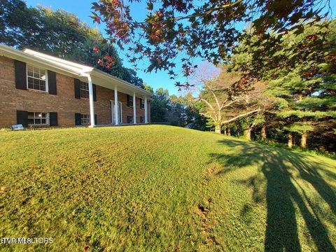 Photo of 379 Luther Villa Road, Sneedville, TN 37869 (MLS # 9993904)