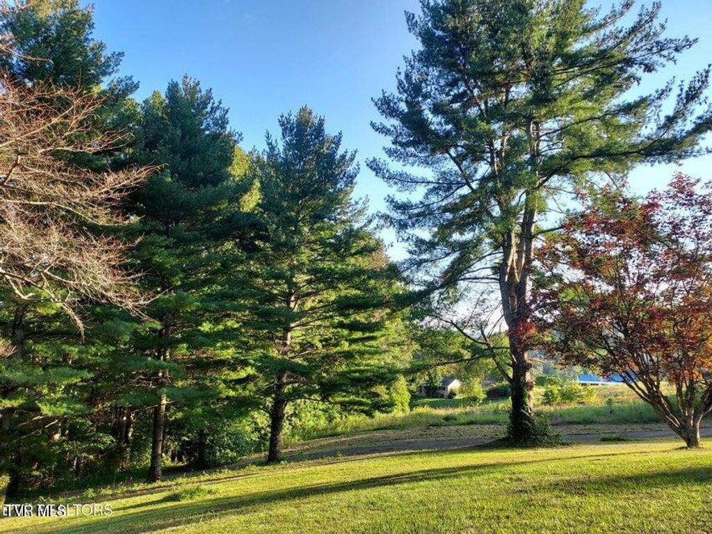 Photo of 379 Luther Villa Road, Sneedville, TN 37869 (MLS # 9993904)